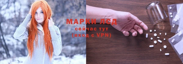 крисы Надым