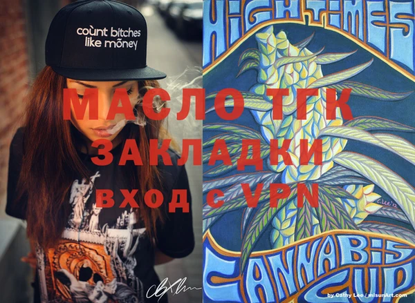 крисы Надым