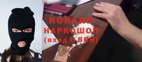 крисы Надым