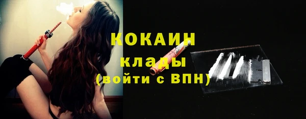 крисы Надым