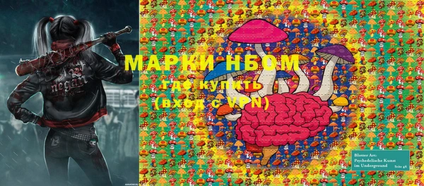 крисы Надым