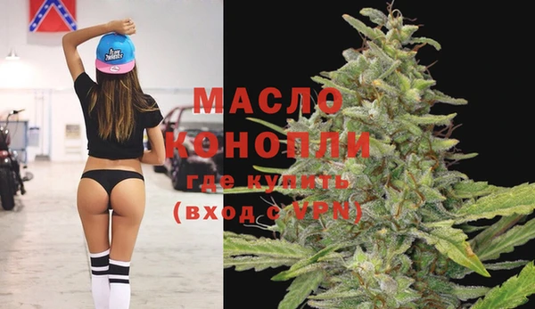 крисы Надым