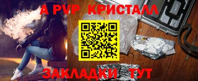 ешки Кингисепп