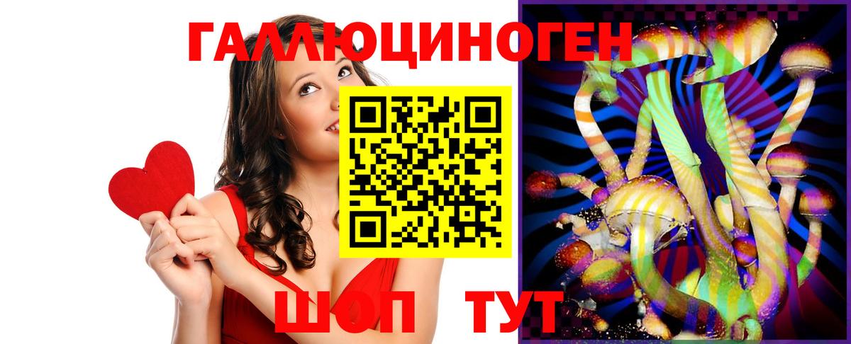 Киров  Псилоцибиновые грибы GOLDEN TEACHER  где найти наркотики  Вход с VPN  Галлюциногенные грибы Magic Shrooms 